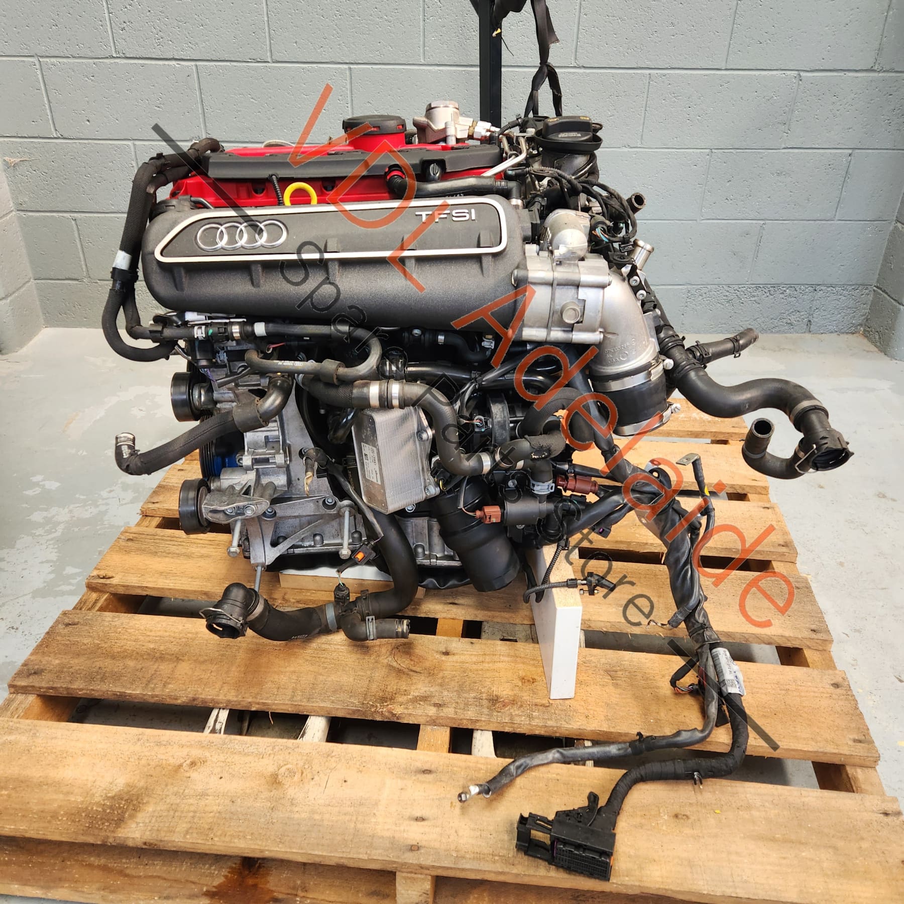 Audi RS3 8V Iron Block CZGB CZG 270kw 5cyl Complete Motor Engine w Turbo, Wiring & Hoses - Image 18