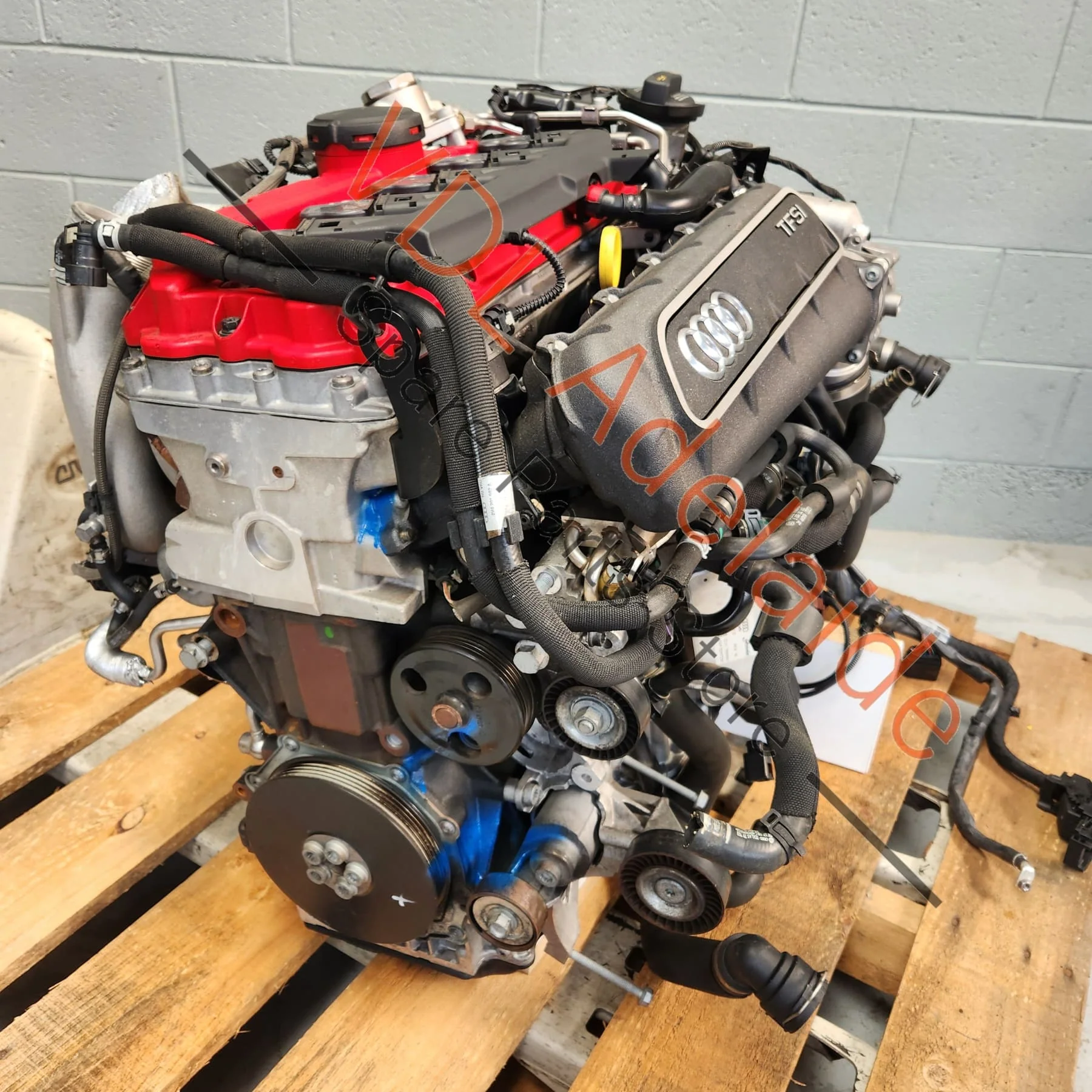 Audi RS3 8V Iron Block CZGB CZG 270kw 5cyl Complete Motor Engine w Turbo, Wiring & Hoses - Image 9